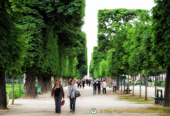 jardin_du_luxembourg_AJP2464.jpg